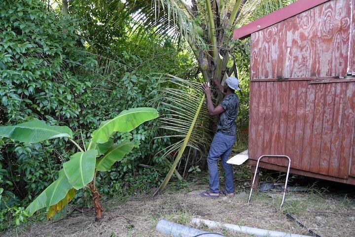 Sander se déplace en bus pour éviter les contrôles, fait des petits boulots de maçonnerie ou de jardinage pour manger et payer son loyer
