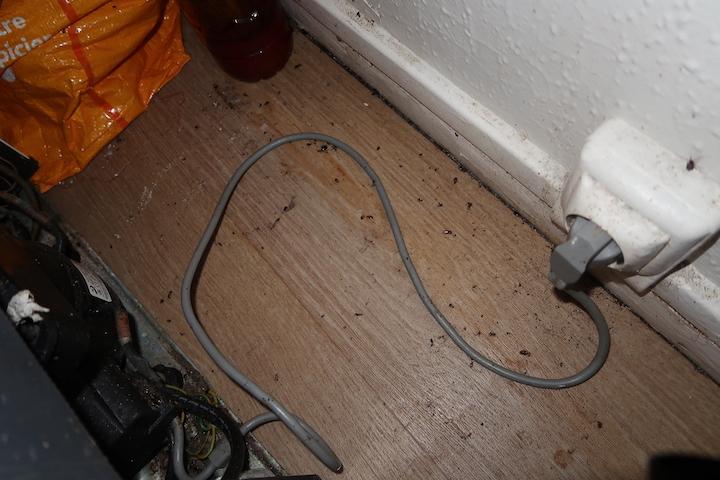 Dans la chambre de Nour, les cafards pullulent et grimpent sur les murs. Quand elle déplace son frigo, des dizaines d'insectes qui avaient trouvé refuge sous le meuble se dispersent dans la pièce.