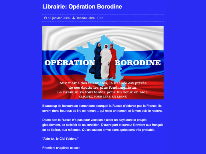 Aujourd’hui, Réseau Libre est un site hyperactif, avec une dizaine d’articles plus ou moins développés publiés chaque jour