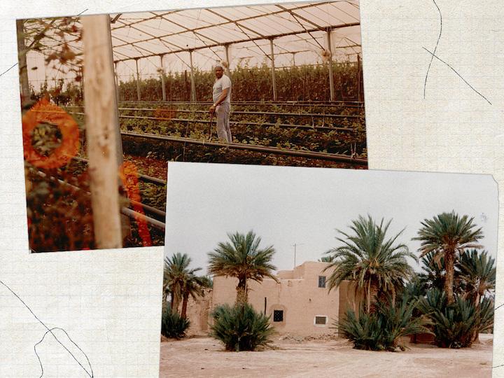 En haut, Abid Rhrissi à La Crau, près de Toulon, fin des années 80 début 90. En bas, Jorf au Maroc.