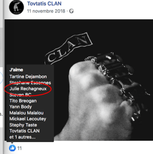 Le Toutatis clan et son imagerie nazie sont bien connus de Julie Rechagneux : la nouvelle député européenne RN, comme plusieurs autres membres du parti lepéniste, ont un temps aimé certaines de leurs publications sur les réseaux sociaux