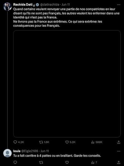 Le 11 juin, le candidat Ciotti-RN Louis-Joseph Pecher vise la ministre de la Culture Rachida Dati avec des propos sexistes alors qu’elle communique sur les élections législatives à venir : « Tu as fait carrière à quatre pattes ou en braillant. Garde tes conseils. 