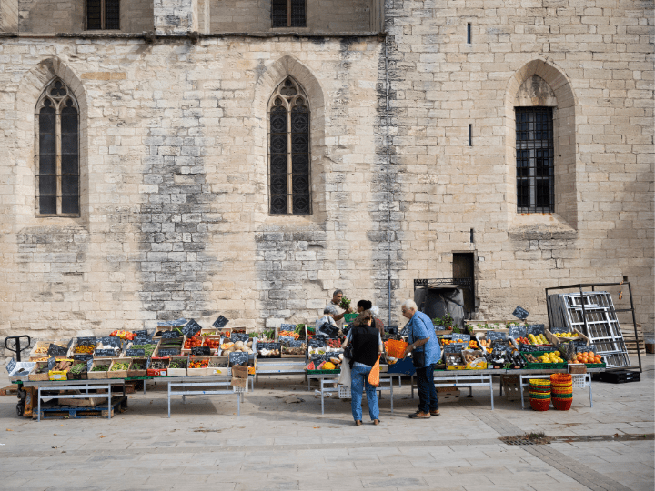 Le Lyonnais de 29 ans est investi par LFI pour le NFP dans la première circonscription du Vaucluse, qui comprend Avignon, Le Pontet et Morières-lès-Avignon