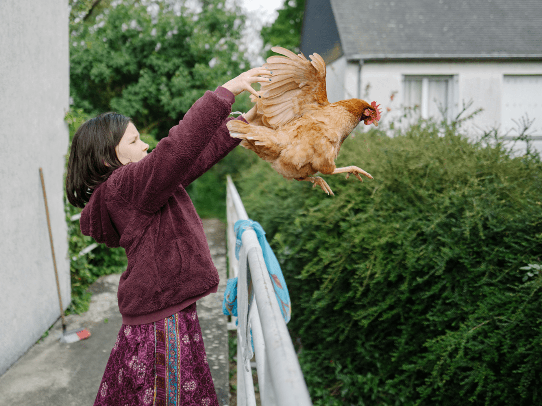 Tous les enfants passent chez Christophe pour profiter de la balançoire. « Alors nous avons construit un poulailler ! 