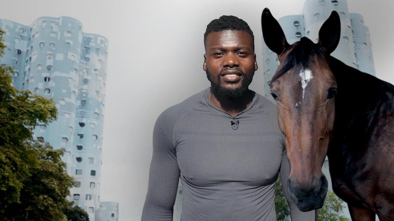 La vraie vie de Djibril, le cavalier qui a grandi dans une cité de Nanterre