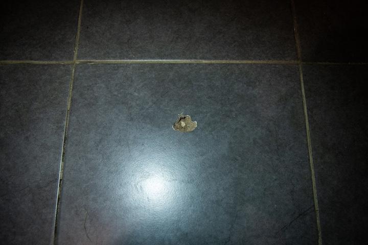 Un tir de la police part en direction de la chienne Naïa, mais loupe sa cible. La balle érafle le mur, et rebondit sur le carrelage de l’entrée