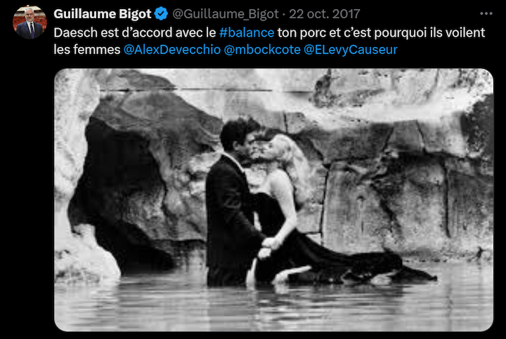 Il a pu également faire dans un tweet un parallèle entre l'organisation terroriste État islamique et le mouvement féministe Balance ton porc.