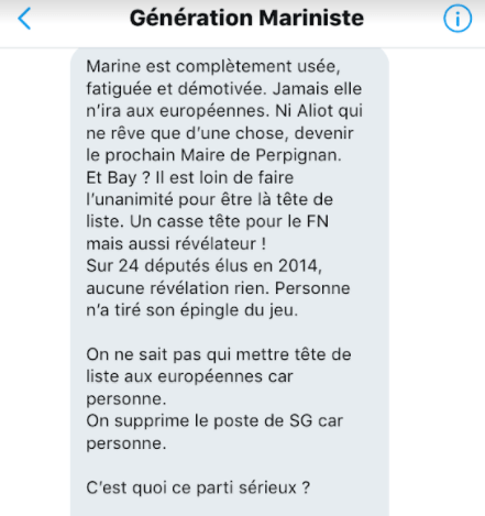 Avant les élections européennes de 2019, beaucoup de militants frontistes pestaient contre l'absence d'homme fort pour le parti au Parlement européen