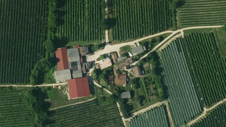 De l’aéroport, Java a directement été conduit à la ferme pour commencer la récolte de Pink Lady et de Granny