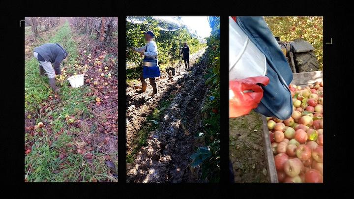 « Une fois, pendant les quatre mois de travail, j’ai eu que deux jours de repos », dénonce Java