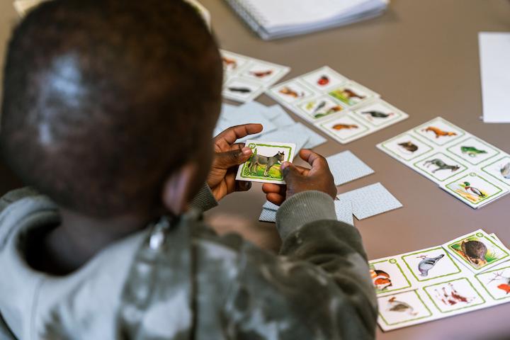 Un enfant joue avec des images d'animaux pendant les cours de français à Yssingeaux