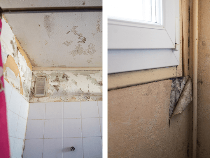 Champignons, VMC et radiateurs en panne... Les tours HLM de Pouldavid cumulent les problèmes d'humidité