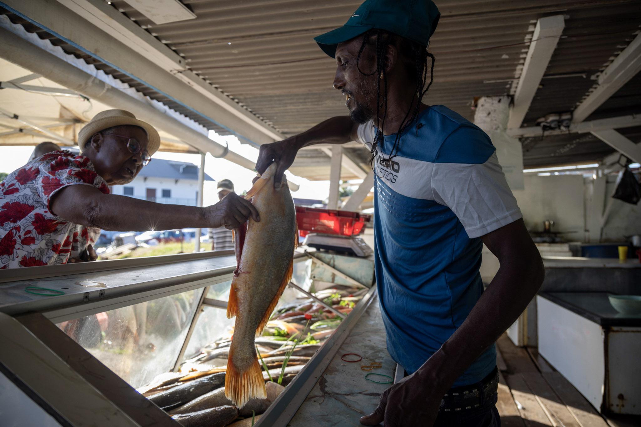 Daniel Sukhdeo, Surinamais arrivé en Guyane en 2011, gagne « environ 1.000 euros par mois »