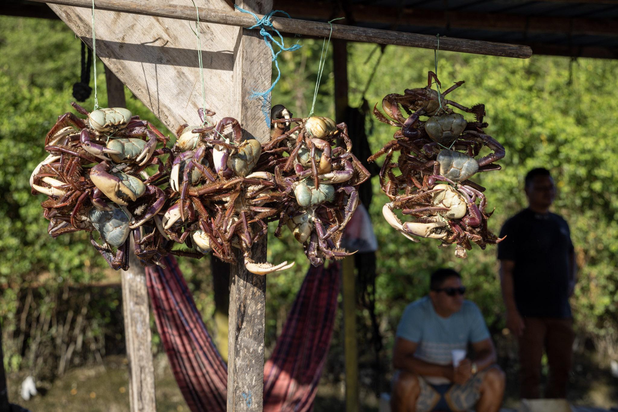 Les pêcheurs évoluent dans des conditions de vie difficiles rendues encore plus compliquées par les blocages administratifs.