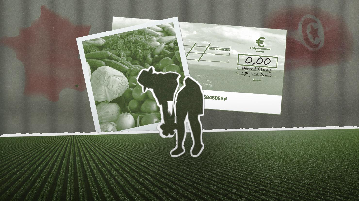 « Je me sentais comme une esclave » : Marwa, victime de l’exploitation des contrats saisonniers agricoles étrangers