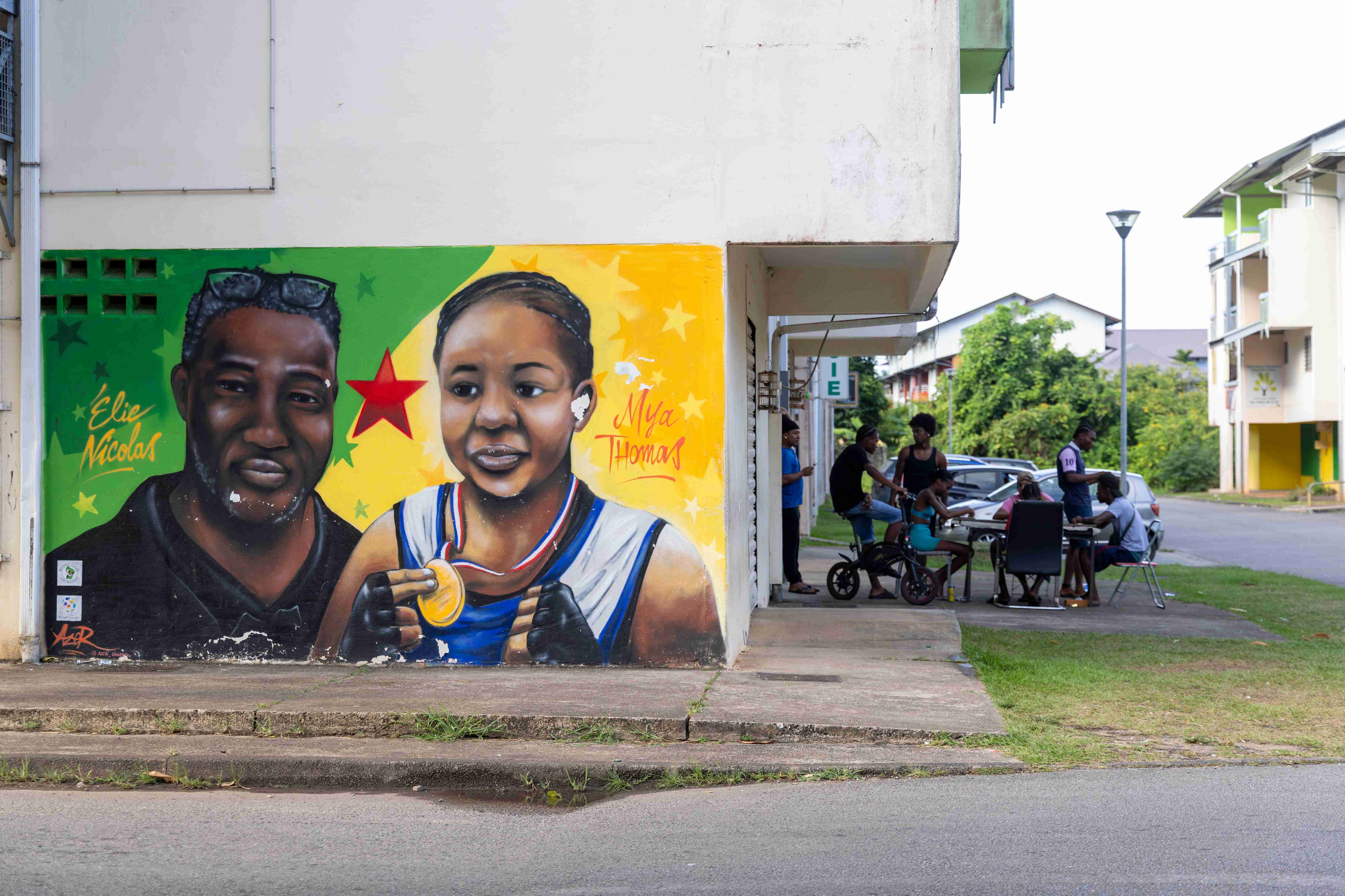 La fresque, installée devant un point de deal, met à l'honneur une habitante de Mont-Lucas qui a décroché à 15 ans le titre de championne de France de boxe l’année dernière en Hexagone. Elle a été commandée par Jawad Bensalah, médecin et fondateur de l’Association citoyenne Mont-Lucas.
 