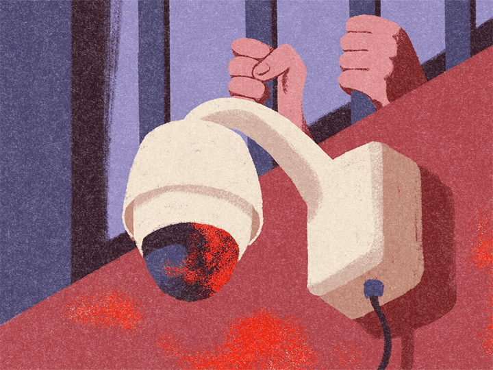 Selon plusieurs sources, le personnel surveillant pourrait aussi chercher à  se protéger en désactivant les caméras ou en effaçant des images de vidéosurveillance. 