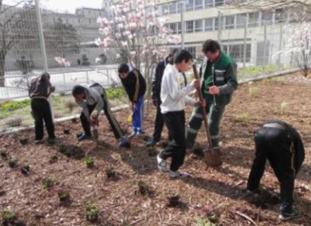 Pourquoi le vaccin fait flipper les Français