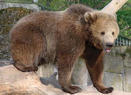 Pourquoi le vaccin fait flipper les Français