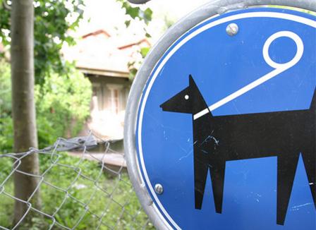 Pourquoi le vaccin fait flipper les Français