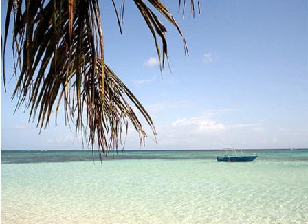 Pourquoi le vaccin fait flipper les Français