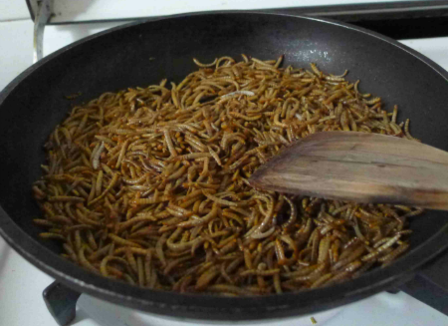 Pourquoi le vaccin fait flipper les Français