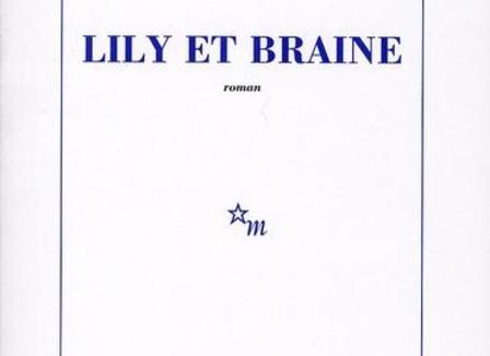 Critique bouquin: Lily et Braine, de Christian Gailly