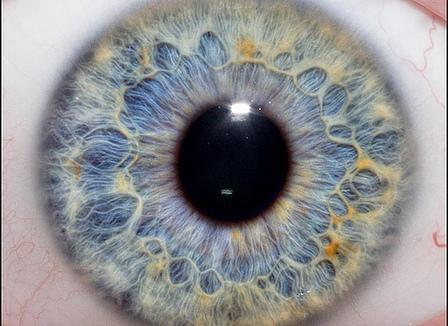 Certains aveugles pourraient retrouver la vue d'ici quelques années