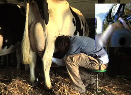 Art contemporain : « L'exposition faite main » à la Maison Populaire de Montreuil