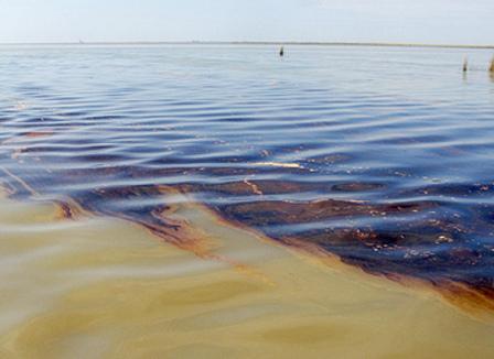 Pourquoi le vaccin fait flipper les Français