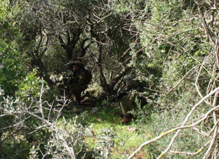 Les costumes de Tsahal pour Halloween