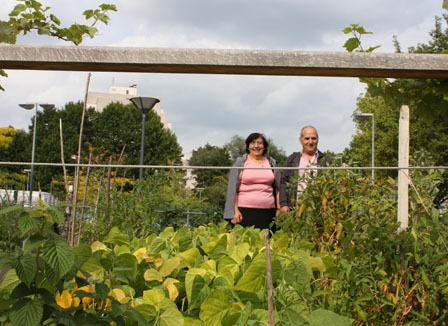 Vols de salades dans les potagers de Sevran: Faut-il envoyer l'armée ? 