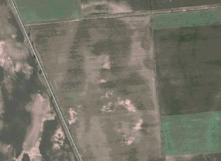 Un avion Ă Ă©nergie solaire, Justin Bieber en CorĂ©e du Nord, la première greffe du visage et la coupe mulet interdite en Iran… le Morning Refresher