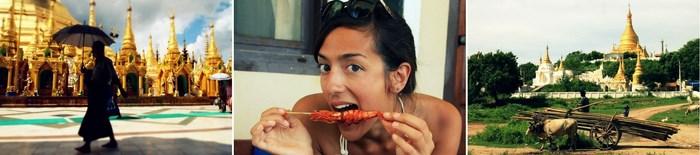 « Ils labourent les champs grâce à des charrues tirées par des bœufs 