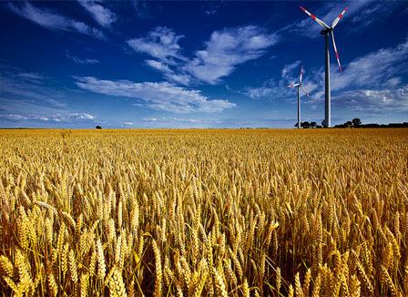 Pourquoi le vaccin fait flipper les Français