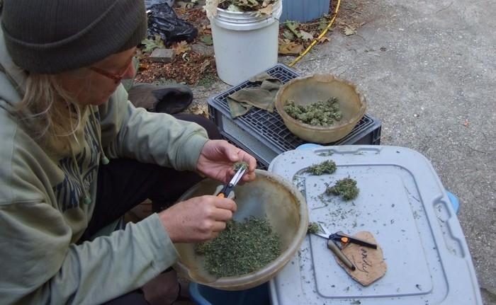 « Comme tu passes 12h la tête dedans, tu as toujours des petits yeux ! 