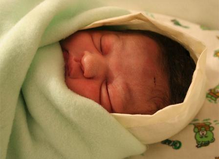 Domenech, des bébés empaillés et Bono &hellip; Le Morning Refresher