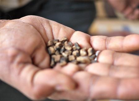 Oriane « flotte » dans les bazars de Peshawar après avoir essayé l'opium