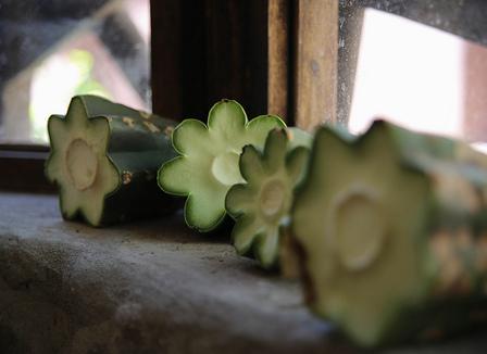 Pourquoi le vaccin fait flipper les Français