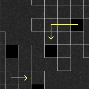 Newsletter La Fabrique